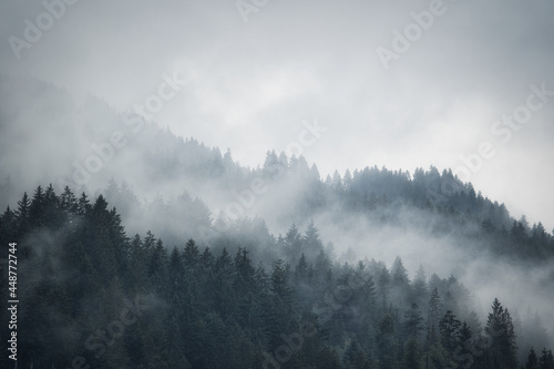 fog in the mountains and over forest © Hanjin