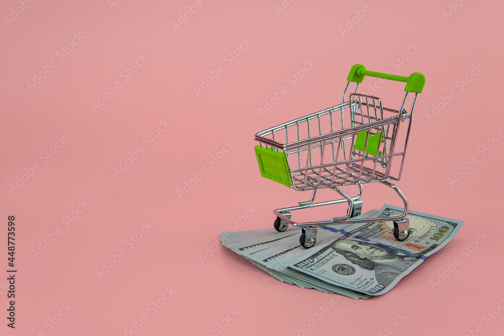 dollar bills in a supermarket trolley on a light background dollar bills in a supermarket trolley on a light background