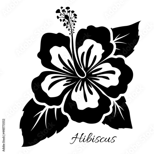 Black-white hibiscus flower with leaves. Vector illustration