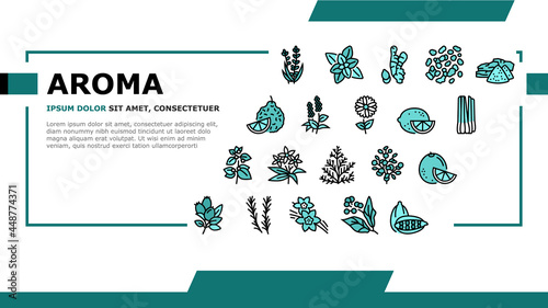 Aromatherapy Herbs Landing Web Page Header Banner Template Vector. Lavender And Peppermint, Ginger And Frankincense, Patchouli And Chamomile Aromatherapy Illustration