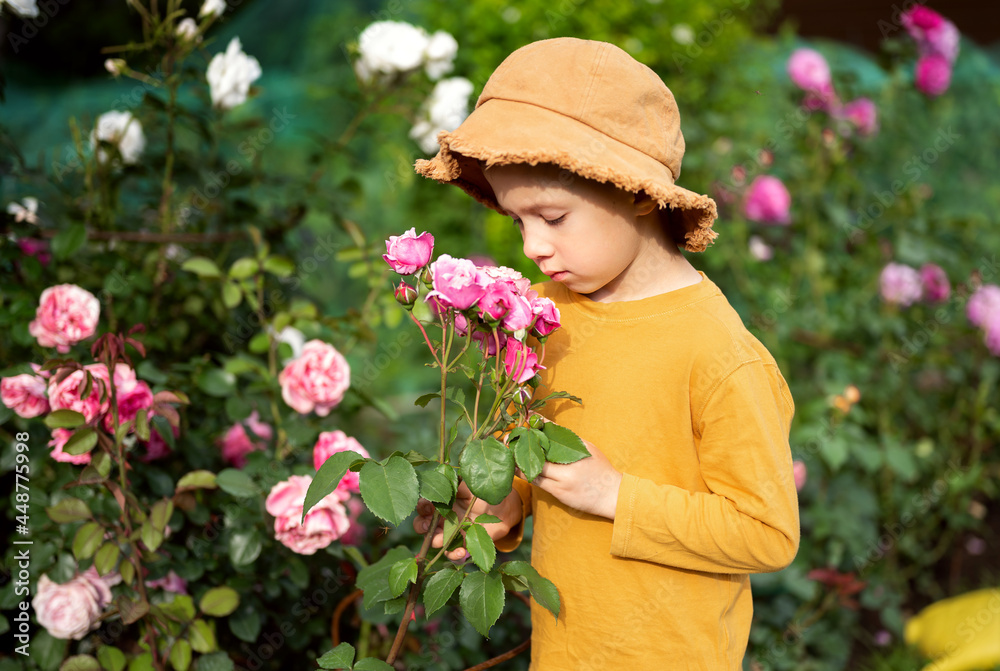 A boy in a hat sniffs roses in the garden