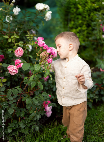 a little boy sniffs roses in the garden 