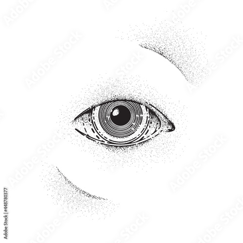 All seeing eye, circle dot design. Vector illustration isolated on white background, EPS 10