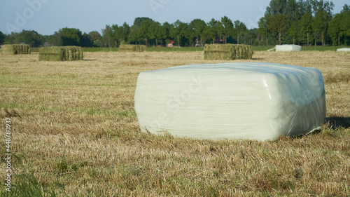Several large square bales of hay on the field with some wrapped in silage film