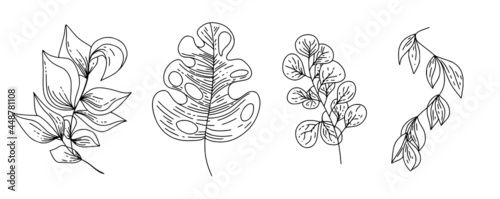 Botanical natural and tropical leaves set in hand drawn style isolated elements for print, cover, wallpaper and stories. Vector illustration