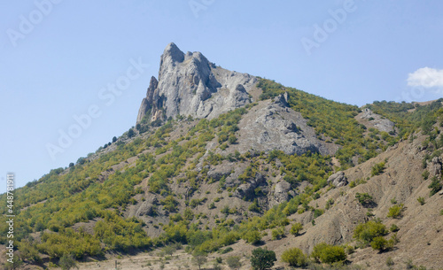 mountain and forest