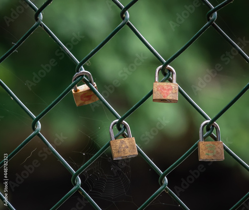 Four textured gold padlocks attached to a green chain link fence as symbolic tokens of enduring love and romance.