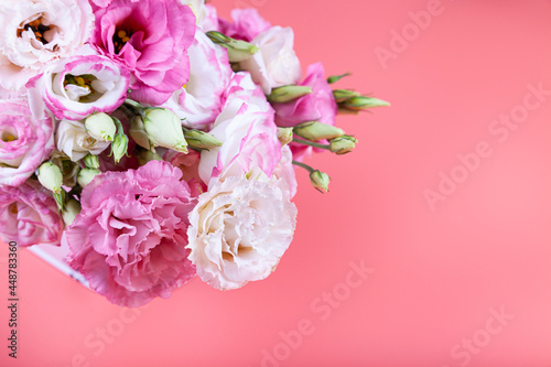 Wallpaper Mural Border of flowers on a pink background. Torontodigital.ca