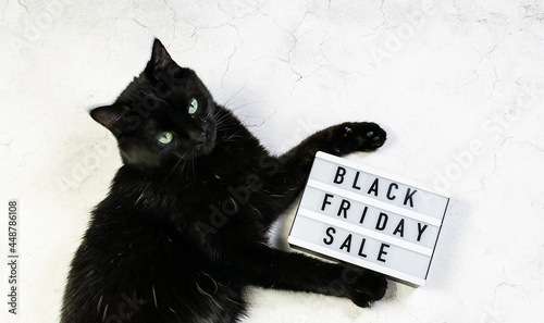 Funny composition with cute black cat holding lightbox with text Black Friday Sale on white marble background.