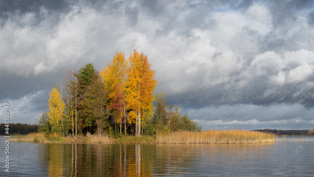 View of the lake shore in autumn