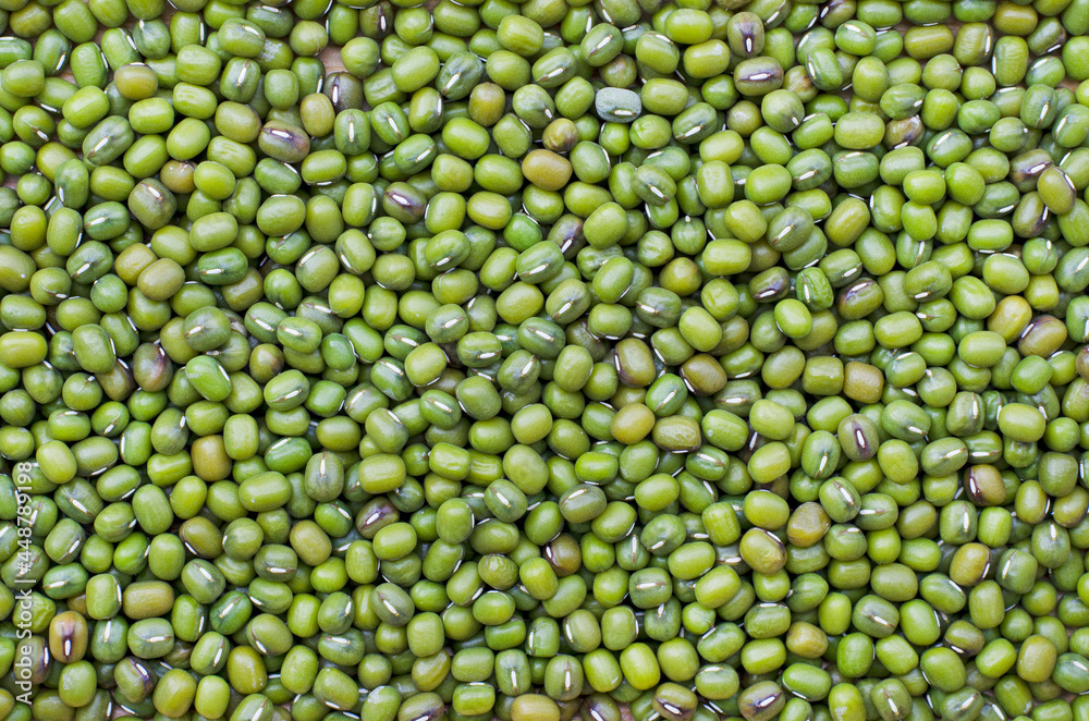 Dry organic green mung bean background after harvested from the farm, ready for  healthy food ingredient. Concept of agricultural product or carbohydrate food type