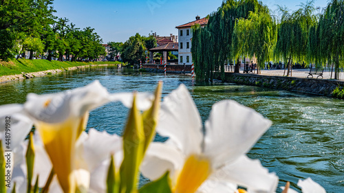 Photography water canal, houses, flowers, trees in Dolo, Venice. Italy