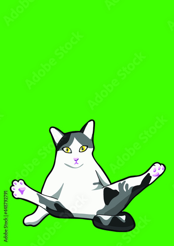 cat with background ()
by cat say meow