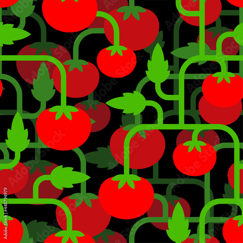 Tomato bush pattern seamless. Tomatos background. vector texture