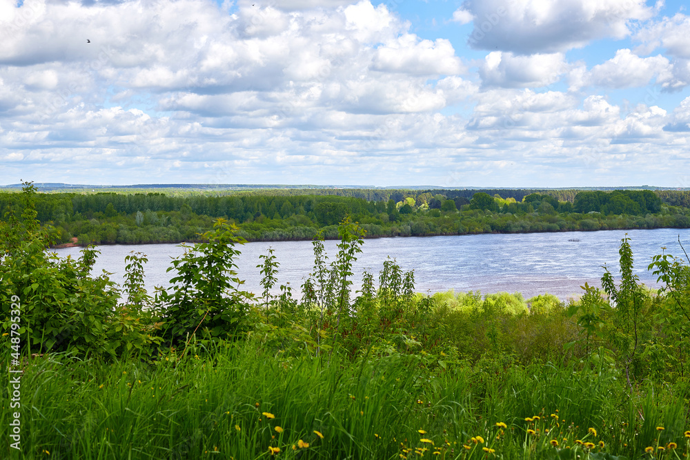 View of the water of a river or lake and the shore with grass and trees on a cloudy spring day View of the water of a river or lake and the shore with grass and trees on a cloudy spring day