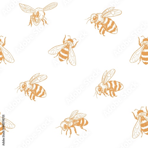 Sketch of a bee. Seamless pattern. Honey design. Vector illustration