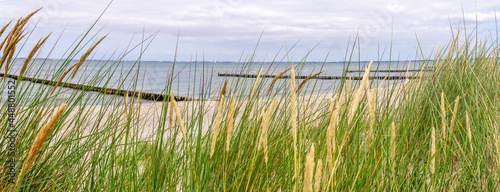 Dünen Panorama Strand Ostsee