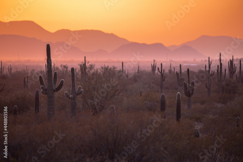 sunrise in the desert