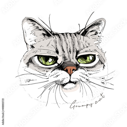 Portrait of the funny Grumpy cat. Humor card, t-shirt composition, meme, hand drawn style print. Vector illustration.