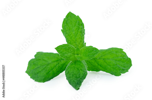 Mint leaf. Fresh mint on white background, isolated. 
