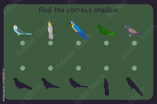 Matching children educational game with parrots - budgies, cockatiel, macaw, eclectus, bronze wing pionus. Find the correct shadow. Vector illustration.