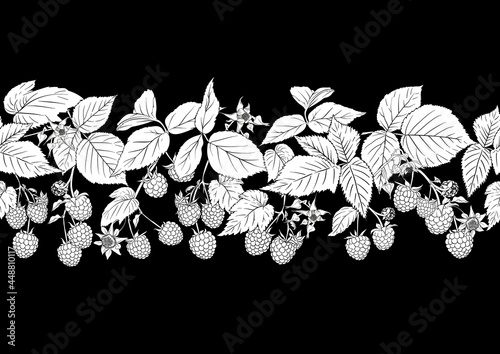 Raspberry. Ripe berries on branch. Seamless pattern, background. Outline drawing. Vector illustration in black and white colors