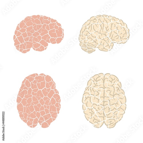 Brain cracked silhouettes