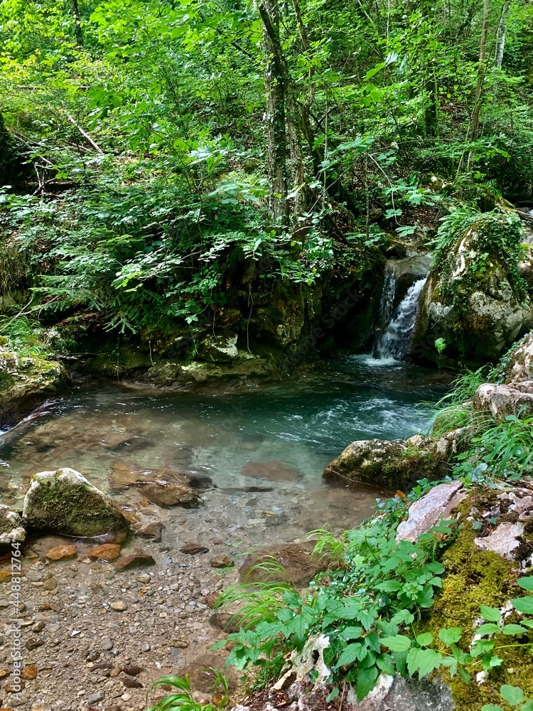 waterfall in the forest