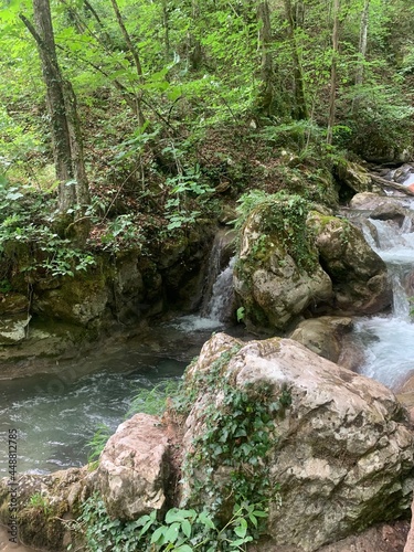 waterfall in the forest