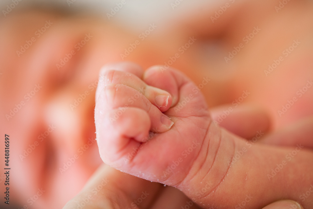 the hand of a newborn child clenched into a fist the hand of a newborn child clenched into a fist