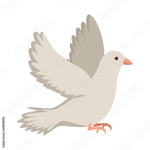 peace dove flying