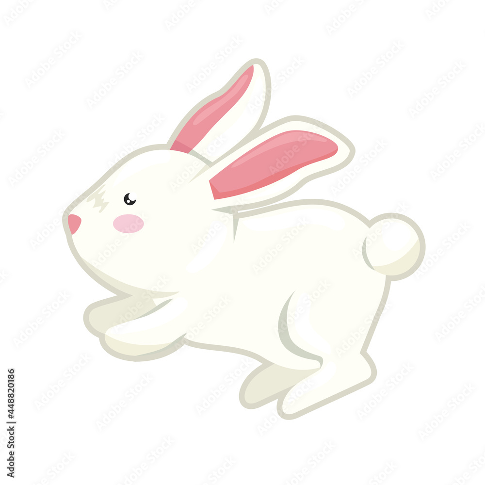 cute bunny jumping cute bunny jumping