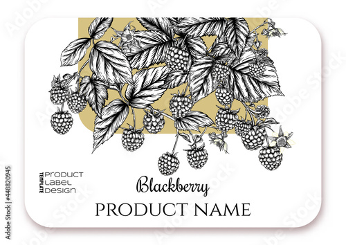 Blackberry. Ripe berries on branch. Template for product label, cosmetic packaging. Easy to edit. Graphic drawing, engraving style. Vector illustration..