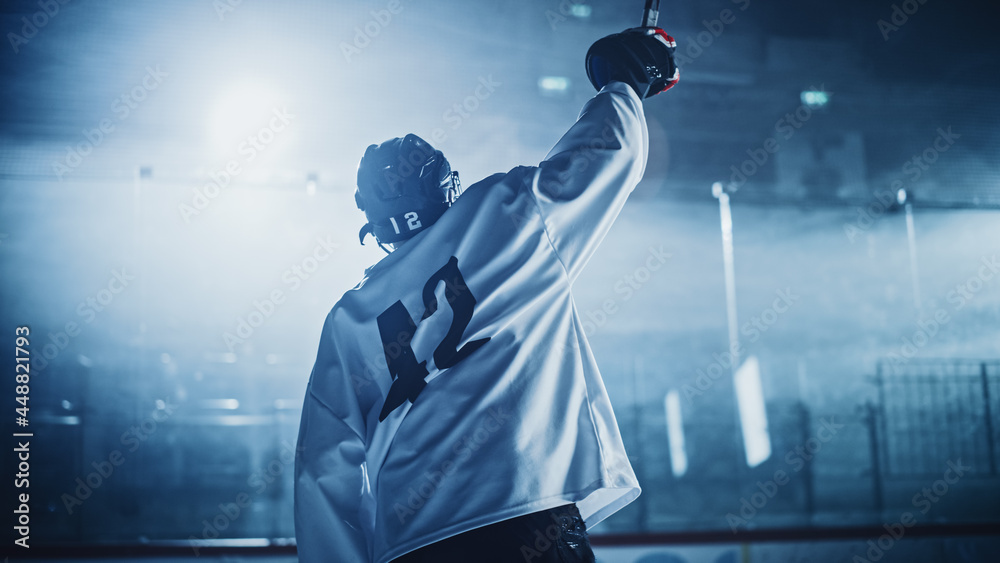 Ice Hockey Game Professional Player Celebrating Victory on Rink