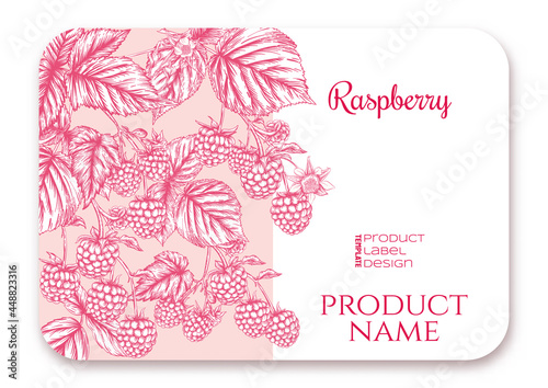 Raspberry. Ripe berries on branch. Template for product label, cosmetic packaging. Easy to edit. Graphic drawing, engraving style. Vector illustration..