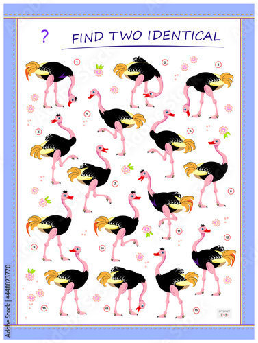 Logic puzzle game for children and adults. Find two identical ostriches. Memory exercises for seniors. Page for kids brain teaser book. Developing spatial thinking. IQ test. Play online.