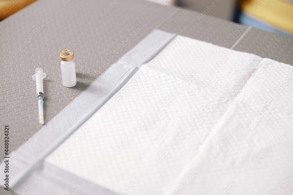 Fototapeta premium Vials, syringe and empty disposable underpad on grey table in vet clinic