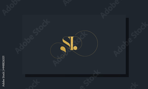 Minimal royal initial letters SD logo photo