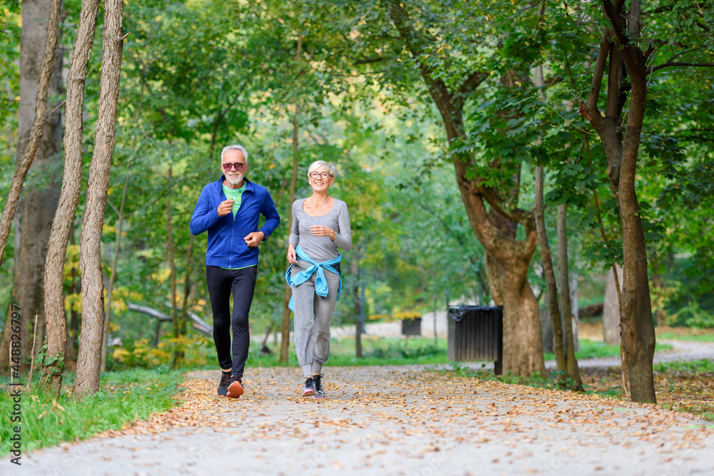 Fototapeta premium Smiling senior couple jogging in the park. Sports activities for elderly people.
