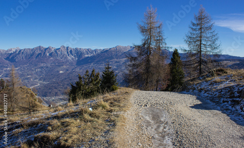 Winter landscape of the Italian mountains. Icy white road. In the background - bare larches and the Belluno Dolomites. View from Monte Nevegal  Belluno  Italy.