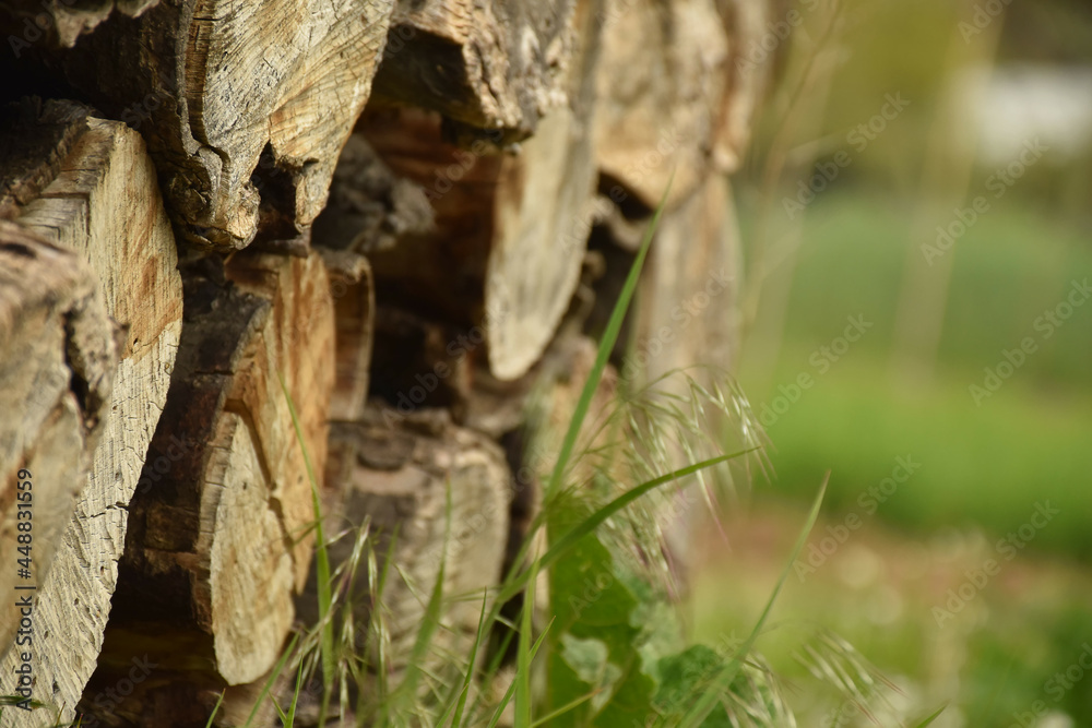 Verwitterter Holzstapel in der Natur als Hintergrund
