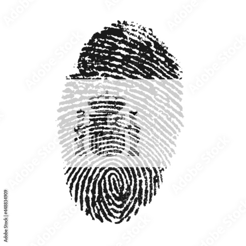 illustration of fingertprint with the flag of Spain in gray tones.