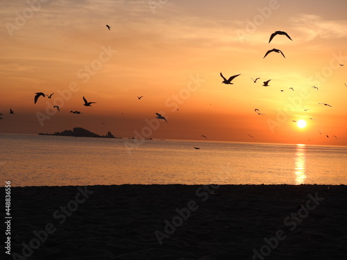 sunset on the beach