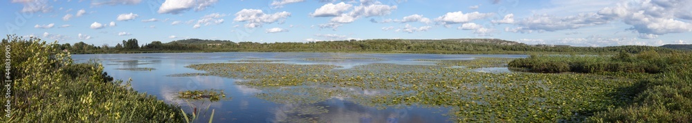 water landscape wetland with lily pad swamp large panoramic marsh in Danville Quebec Canada