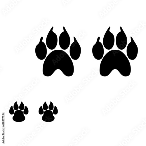 Animal footprints illustration. An imprint of an adult and a cub. Vector animal footprints.