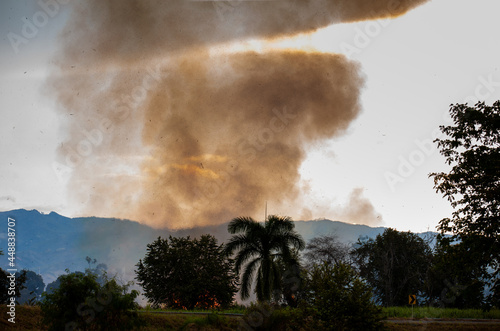 Sugar cane fire burning in field at Valle del Cauca in Colombia