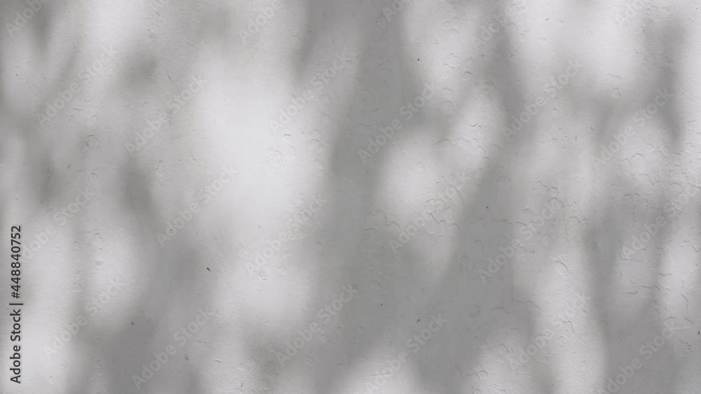 Transparent soft light and shadows from branches, plant, foliage and leaves. Gray shadow of the leaves on a white wall. Space for text. Product presentation, mockup for advertising. 4k. High quality Transparent soft light and shadows from branches, plant, foliage and leaves. Gray shadow of the leaves on a white wall. Space for text. Product presentation, mockup for advertising. 4k. High quality
