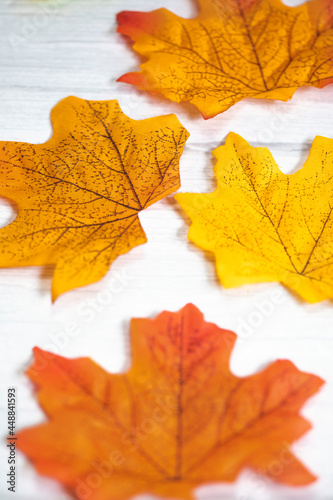 Background group of colorful autumn orange maple leaves on white wooden background with defocuse, beautiful nature background fall season retro modern background