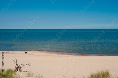 Tranquil landscape with sand dunes and sea