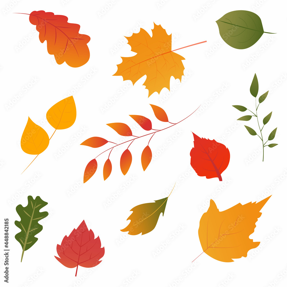 Vector illustration, set of bright autumn leaves